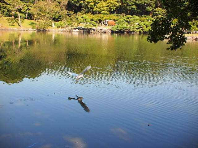 EB056555_1280x960.jpg