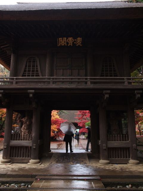 EB239873_1280x960.jpg