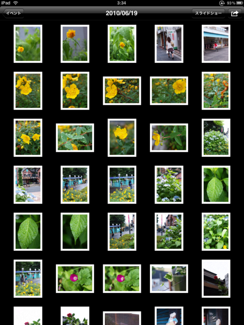 IMG_0019.PNG