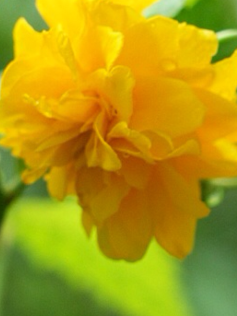 IMG_0022.PNG