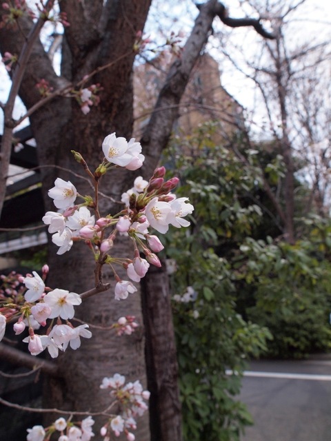 X3296522_1000x750.jpg
