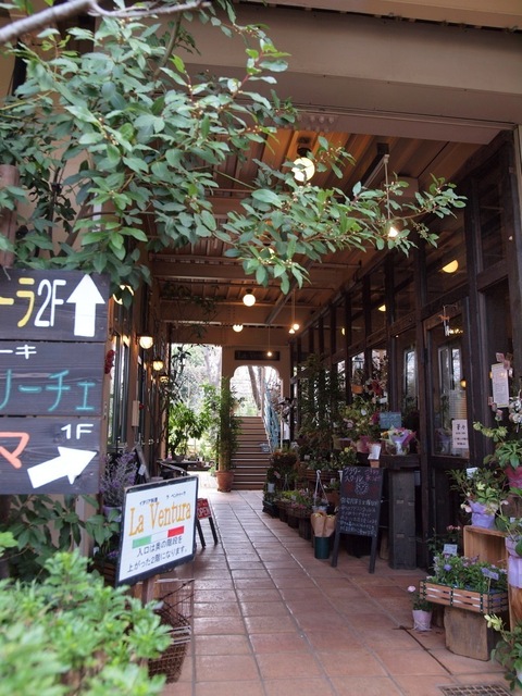 X3296532_1000x750.jpg