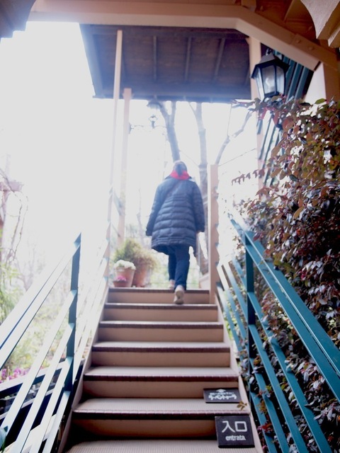 X3296540_1000x750.jpg