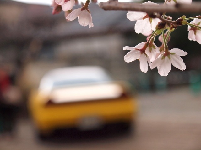 X3296738_1000x750.jpg