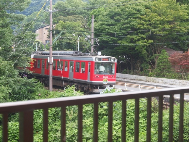X7127987.jpg